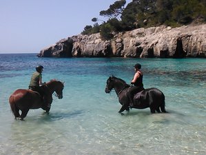 Horse riding in Menorca
