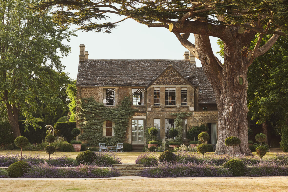 Thyme – Cotswolds