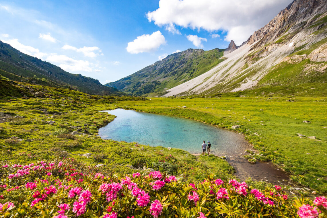 Chalet Marmotte – Alps, Summer