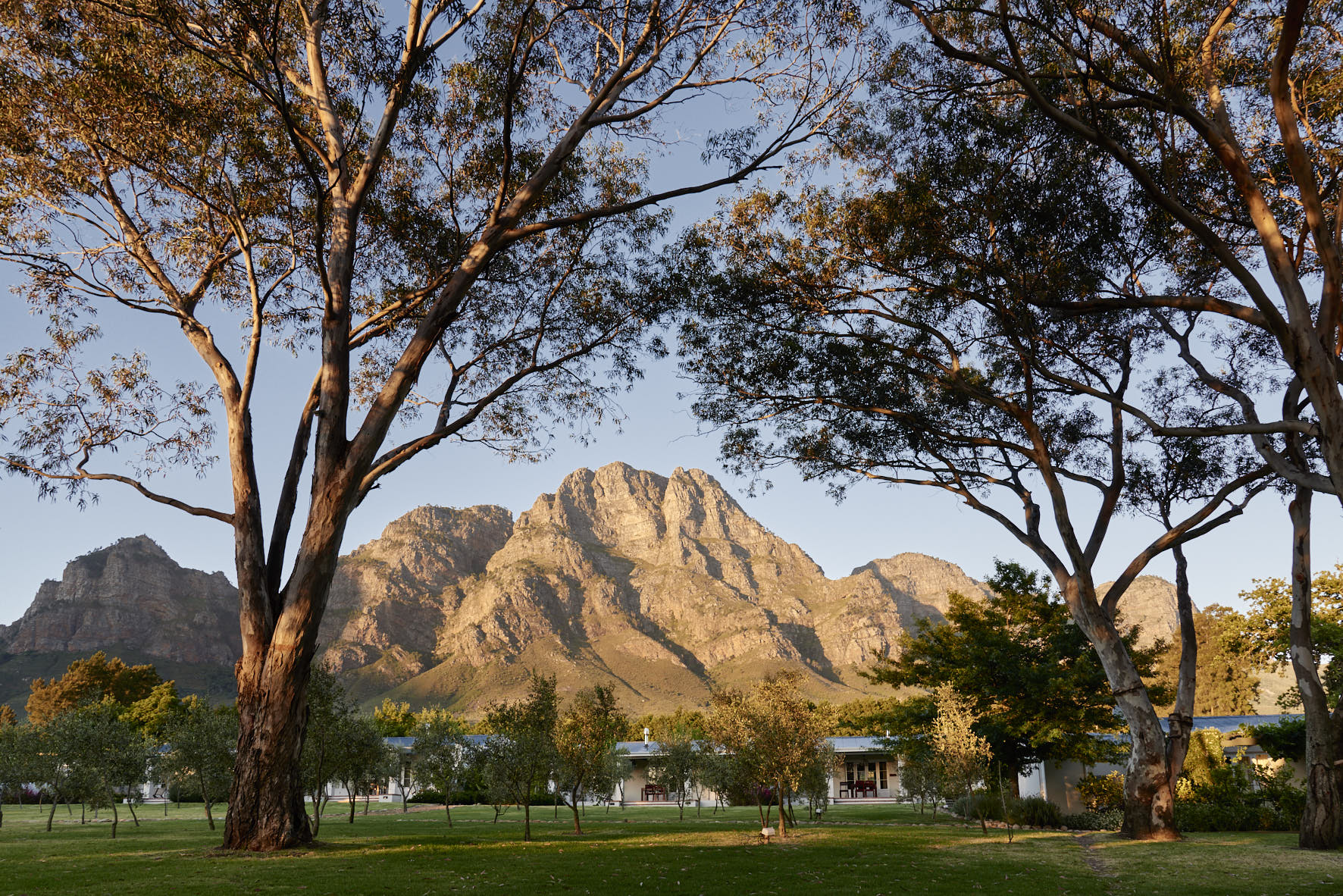 Boschendal Wine Estate – South Africa