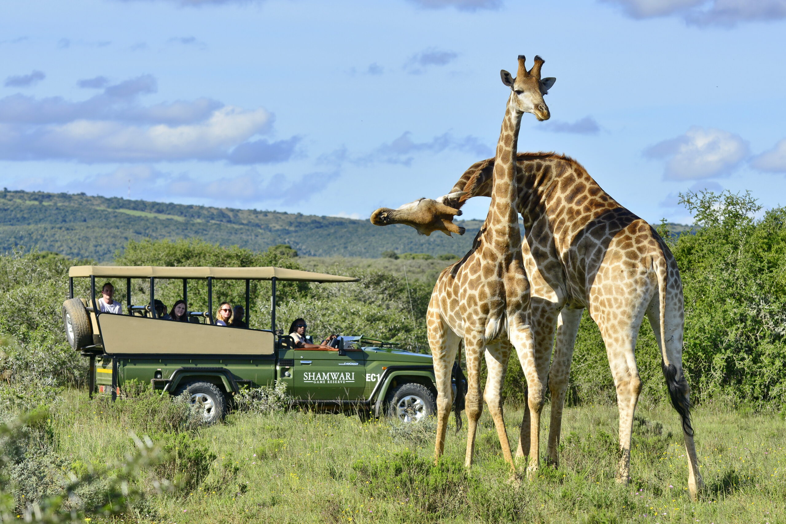 Shamwari Private Game Reserve – South Africa