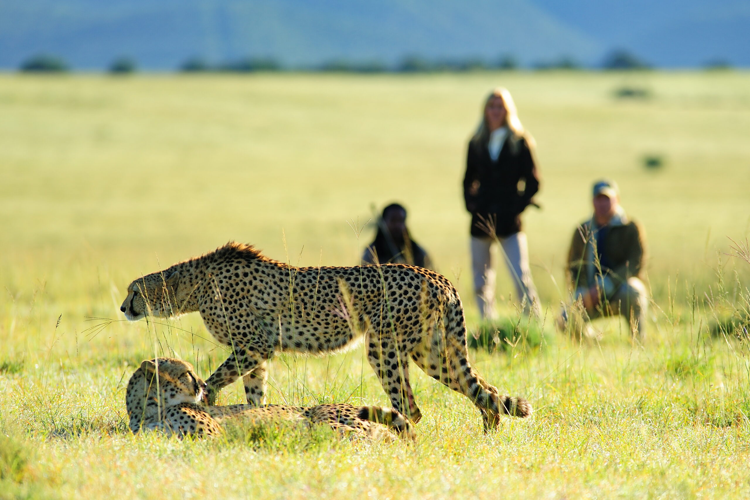 Shamwari Private Game Reserve – South Africa